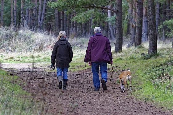 Wandelen in de natuur Hoe ontspan ik-Wandelen in de natuur